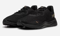 Disperse XT