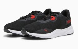 Disperse XT