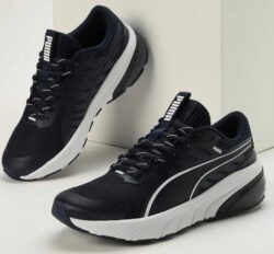 PUMA Cell Glare
